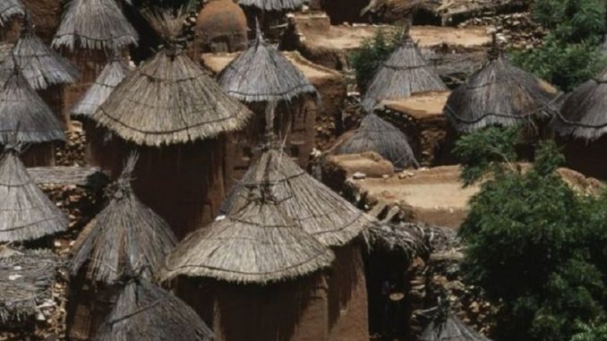 _107315733_dogon