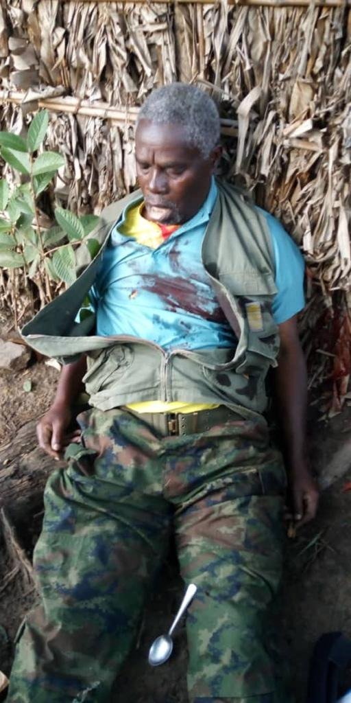 Lt Gen. Sylivestre Mudacumura wayoboraga FDLR yishwe n'ingabo za RD Congo - Teradig News