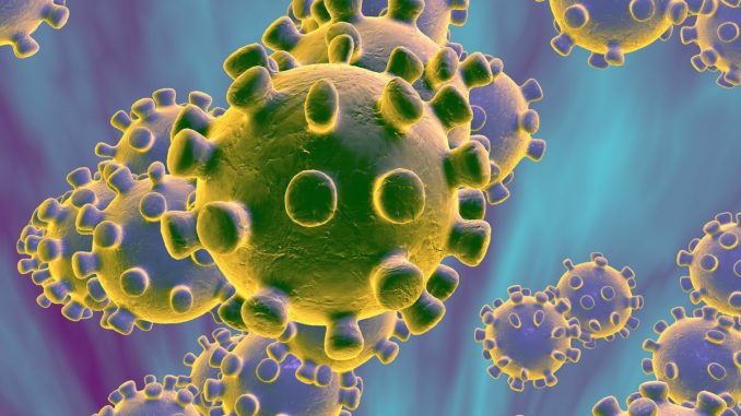 https-cdn.cnn.comcnnnextdamassets200108214800-coronavirus