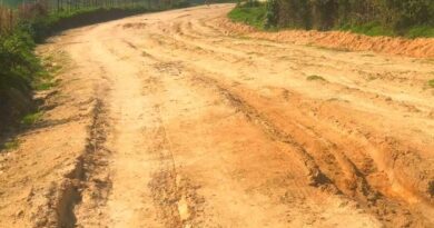 Senators advocate for improved roads to boost dairy sector in Gishwati-Mukura area